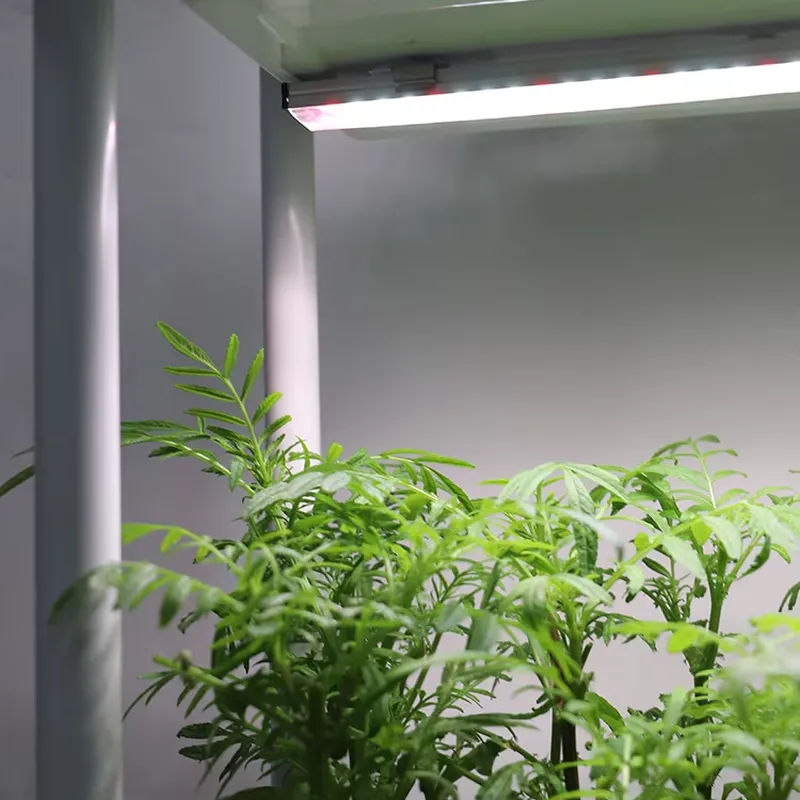 Smart Garden Box - 이동식 수직형 3단 자동 급수 스마트