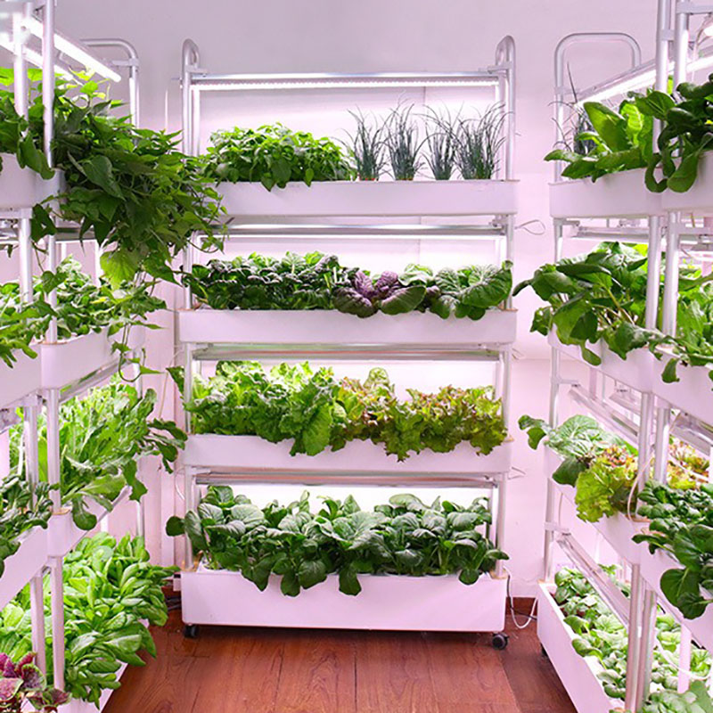 Smart Garden Box - 수직 수경 재배 시스템, 스마트 실내