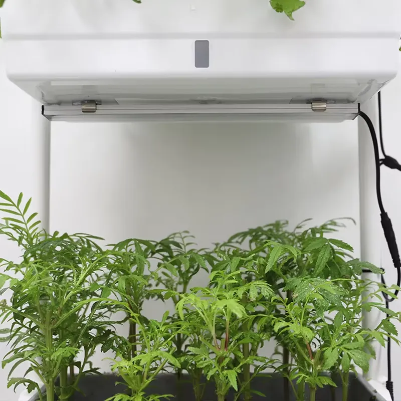 이동식 수직형 3단 자동 급수 스마트 정원 화분 스탠드 - Smart Garden Box 리뷰 및 가격