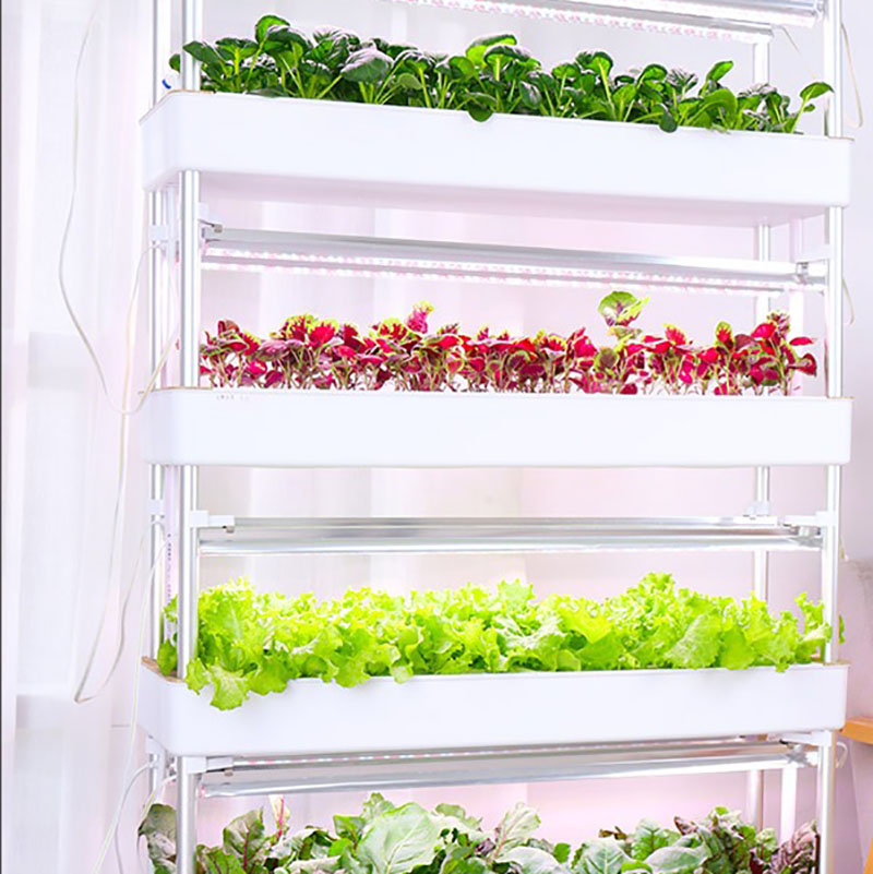 수직 수경 재배 시스템, 스마트 실내 수경 재배, 정원 - Smart Garden Box 리뷰 및 가격